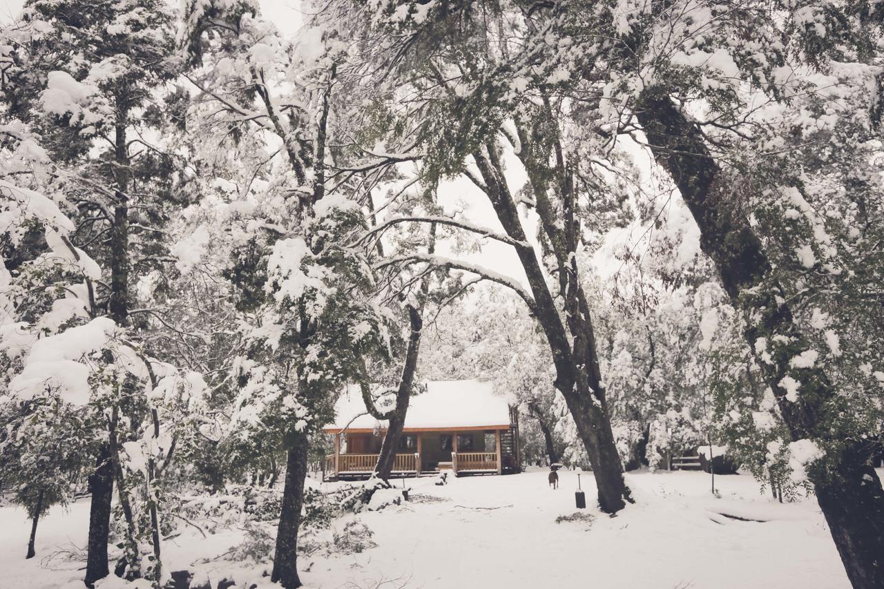 Llaima Camp Villa กูราเกาติน ภายนอก รูปภาพ